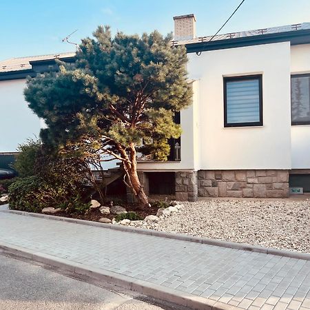 Relaxacni Studio Vera S Ubytovanim Valtice Εξωτερικό φωτογραφία