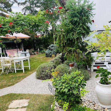 Relaxacni Studio Vera S Ubytovanim Valtice Εξωτερικό φωτογραφία