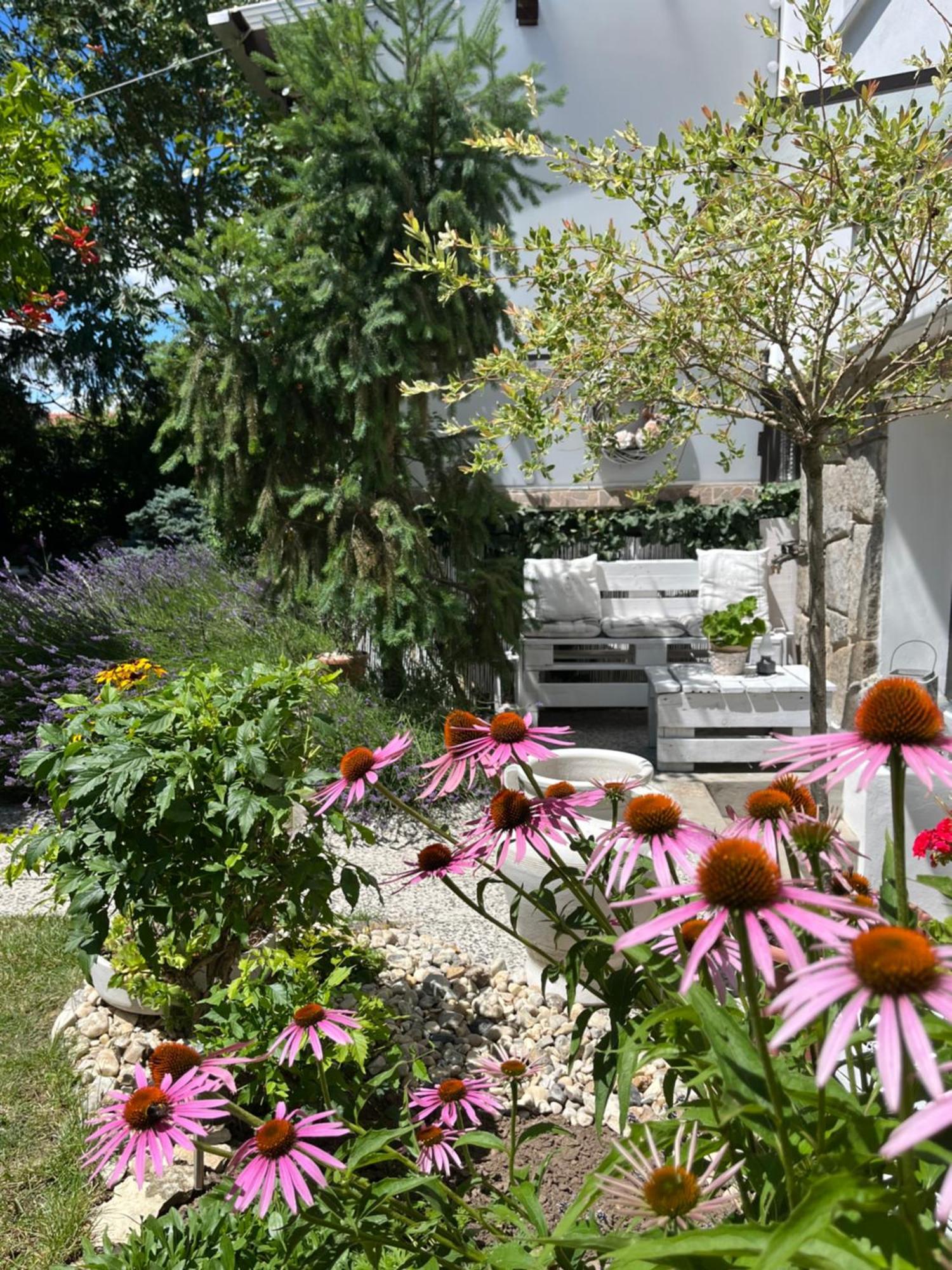 Relaxacni Studio Vera S Ubytovanim Valtice Εξωτερικό φωτογραφία