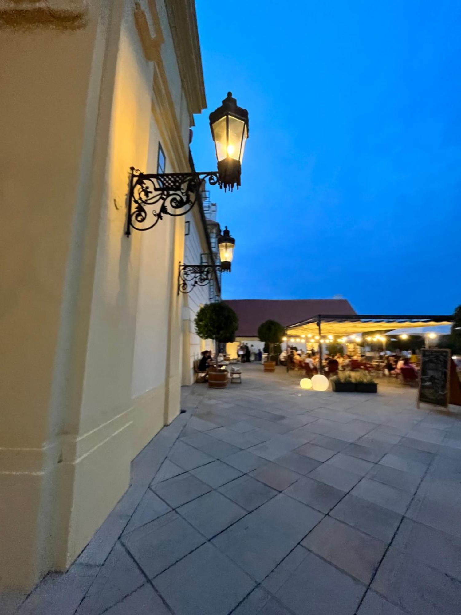 Relaxacni Studio Vera S Ubytovanim Valtice Εξωτερικό φωτογραφία